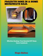PROJECTS DONE IN A HOME MICROWAVE KILN.