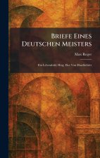 Briefe eines deutschen Meisters