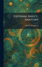 External Insect-Anatomy