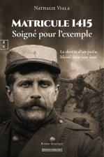 MATRICULEAE 1415, SOIGNE POUR L'EXEMPLE : LE DESTIN D'UN POILU BLESSE DANS SON AME