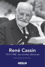 René Cassin 1914-1948 : les années décisives