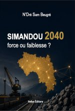 SIMANDOU 2040