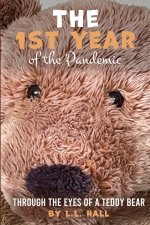 The 1st Year of The Pandemic