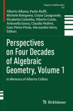 Perspectives on Four Decades of Algebraic Geometry, Volume 1