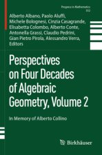 Perspectives on Four Decades of Algebraic Geometry, Volume 2