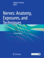 Nerves: Anatomy, Exposures, and Techniques