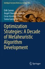 Optimization Strategies: A Decade of Metaheuristic Algorithm Development
