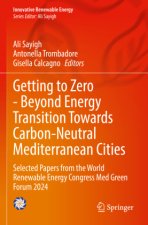 Getting to Zero - Beyond Energy Transition Towards Carbon-Neutral Mediterranean Cities