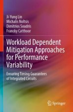 Workload Dependent Mitigation Approaches for Performance Variability