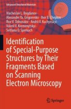 Identification of Special-Purpose Structures by Their Fragments Based on Scanning Electron Microscopy