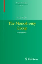 The Monodromy Group