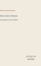 Stein unter Steinen