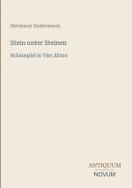 Stein unter Steinen