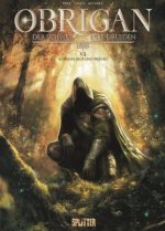 Obrigan. Band 1 - Der Schwur der Druiden
