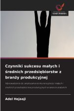 Czynniki sukcesu małych i średnich przedsiębiorstw z branży produkcyjnej