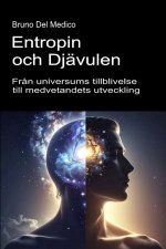 Entropin och djävulen. Från universums tillblivelse till medvetandets utveckling.