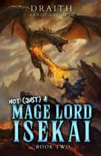 Not (Just) a Mage Lord Isekai 2