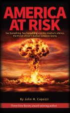AMERICA AT RISK