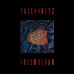 Priessnitz:  Freiwaldau