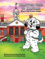 Bradykin's Goes to Harvard