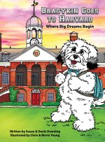 Bradykin's Goes to Harvard