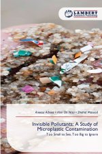 Invisible Pollutants