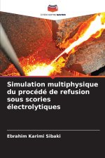 Simulation multiphysique du procédé de refusion sous scories électrolytiques