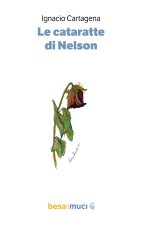 cataratte di Nelson