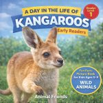 Kangaroos