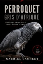 Perroquet gris d'Afrique