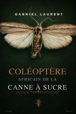 coléoptère africain de la canne à sucre