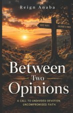 Between Two Opinions