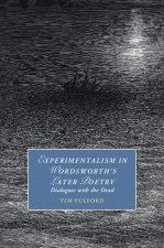 Experimentalism in Wordsworth's Later Poetry