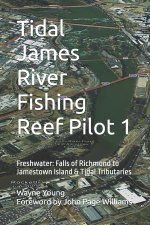 Tidal James River Fishing Reef Pilot 1