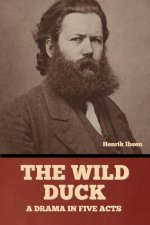 The wild duck