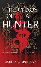 The Chaos of a Hunter