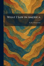 What I Saw in America