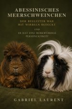Abessinisches Meerschweinchen