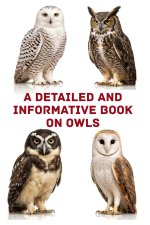 A Detailed and Informative Book on Owls