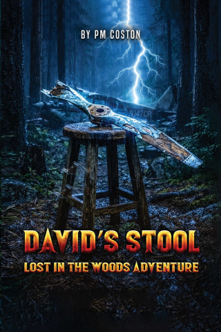 David's Stool