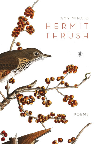 Hermit Thrush
