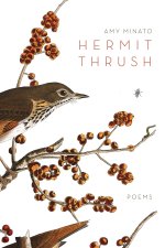 Hermit Thrush