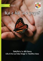What Is A Butterfly? - Ko e hā 'a e pepe?