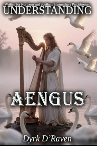 Understanding Aengus