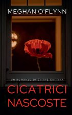 Cicatrici Nascoste