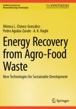 Energy Recovery from Agro-Food Waste