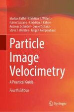 Particle Image Velocimetry