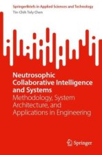 Neutrosophic Collaborative Intelligence and Systems