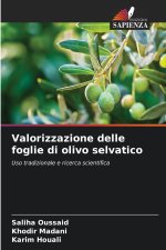 Valorizzazione delle foglie di olivo selvatico