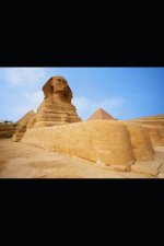 History of Humans